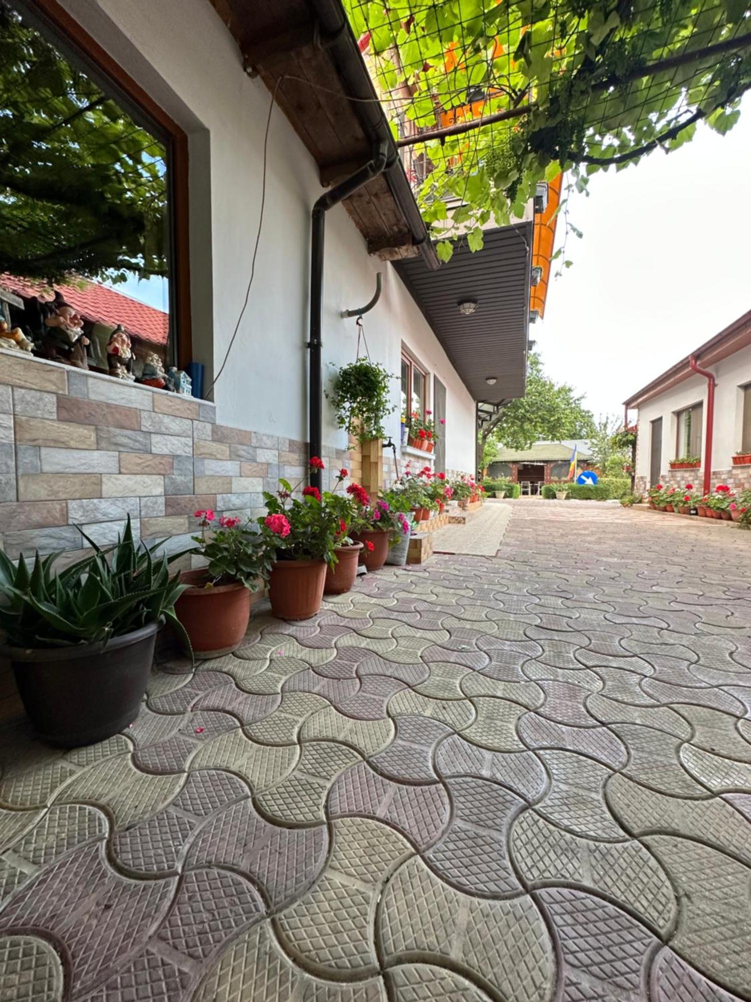 Casa Cu Flori Corbu Hotel คอร์บู ภายนอก รูปภาพ